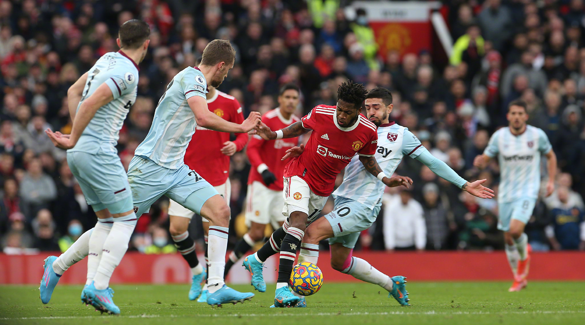 样化的背景 样化的背景